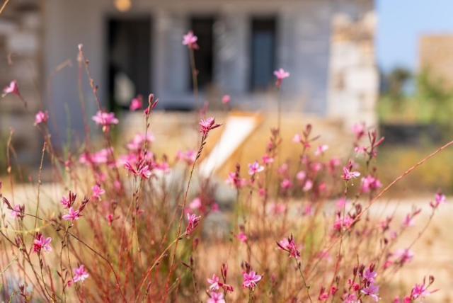 Beach House Antiparos Exterior photo